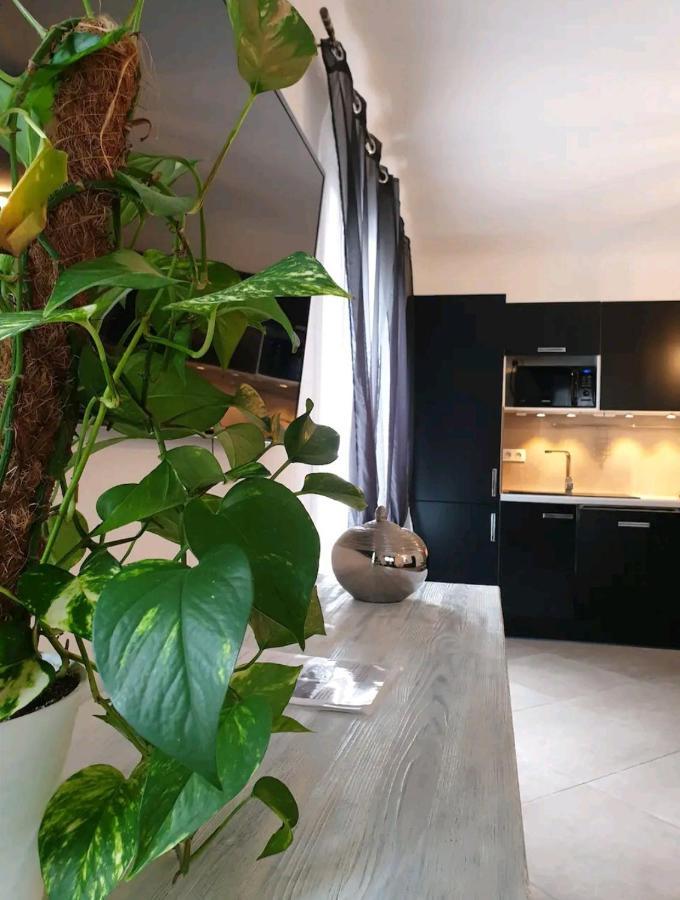 Pianotolinca - Centru Di Corsica Villa Moltifao Ngoại thất bức ảnh