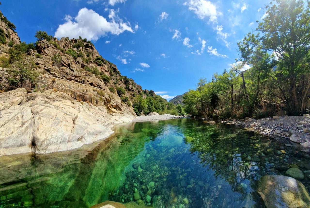 Pianotolinca - Centru Di Corsica Villa Moltifao Ngoại thất bức ảnh